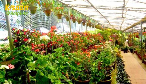 केरल ने फूलों और सब्जियों के लिए नए इंडो-डच सेंटर ऑफ एक्सीलेंस को खोला